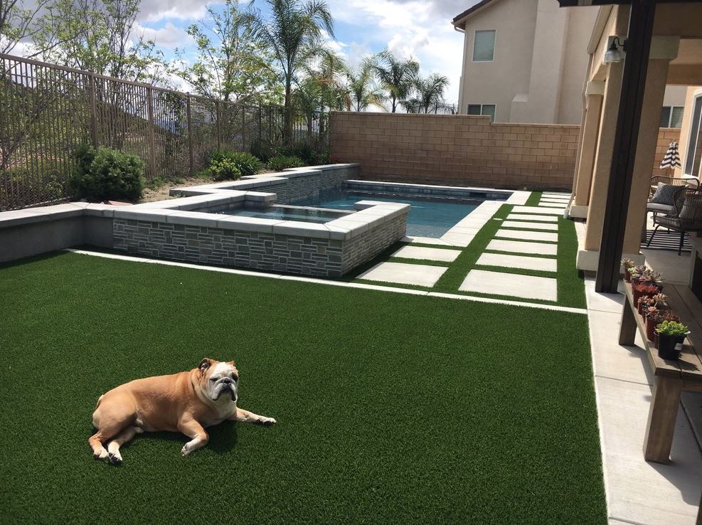 Pet Turf
